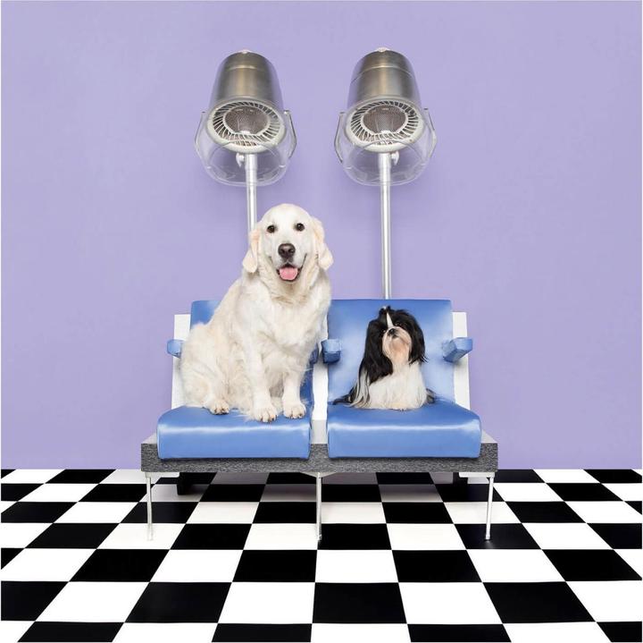 Produktbild Tangle Teezer Pet Teezer Detangling Small Blue (Hund, 1 ml)