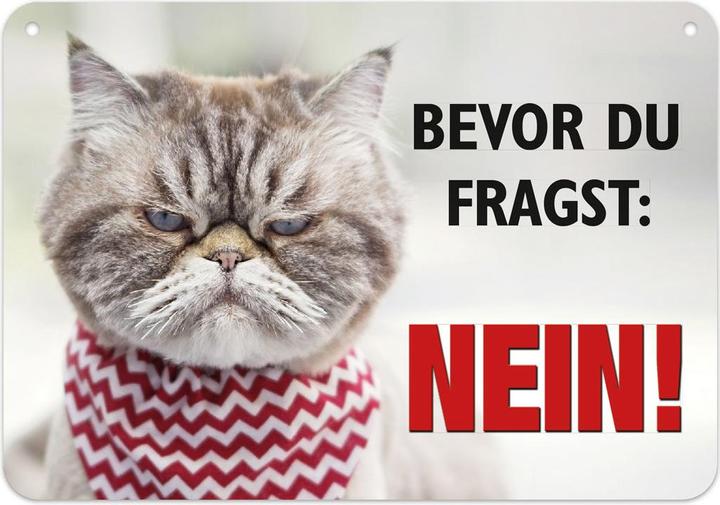 Blechschild Nein! (16.5 x 11.5 cm)