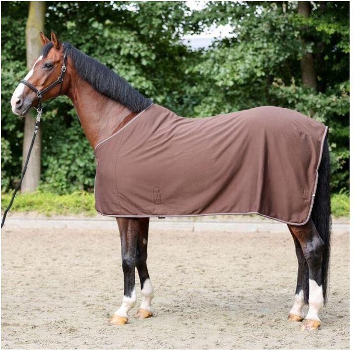 Produktbild Kavalkade Elegance (135 cm)