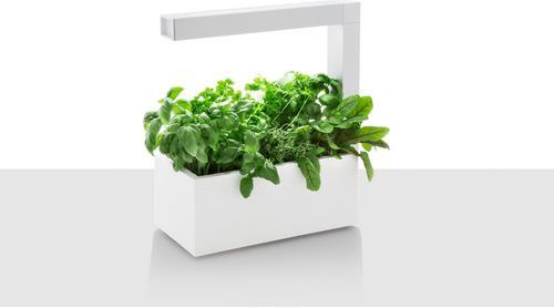 Produktbild Tregren Herbie Indoor Garden weiss (40 cm)