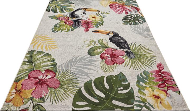 Immagine prodotto Hanse Home Sogno tropicale (200 x 285 cm)