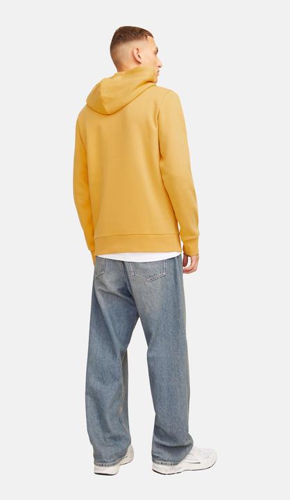 Immagine prodotto Jack & Jones JJELOGO SWEAT HOOD 2 COL 24/25 NOOS (XXL)