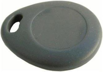 Actual product image 2N Proximity Key Fob