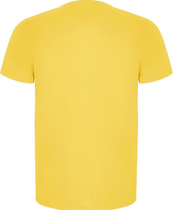Actual product image Alpinia Mens Imola Short-Sleeved Sports T-Shirt (S)
