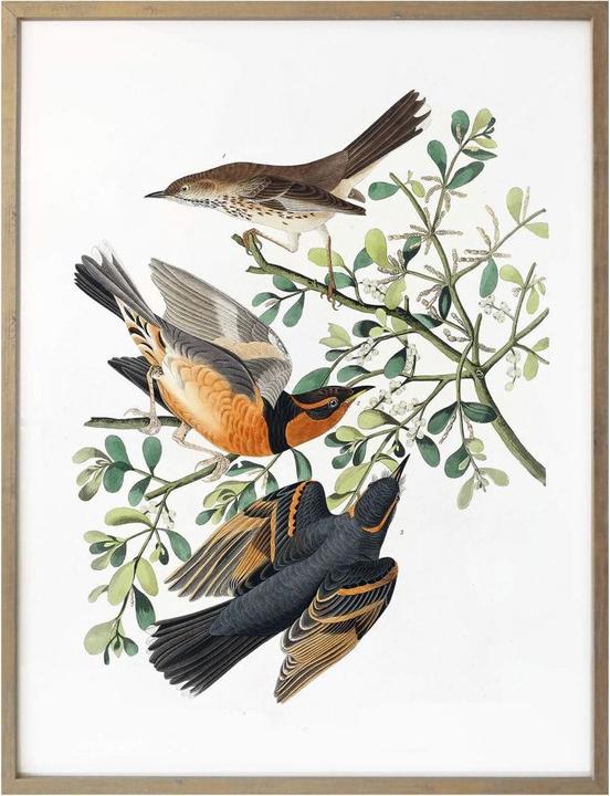 Image du produit Trenddeko Trois grives (50 x 60 cm)