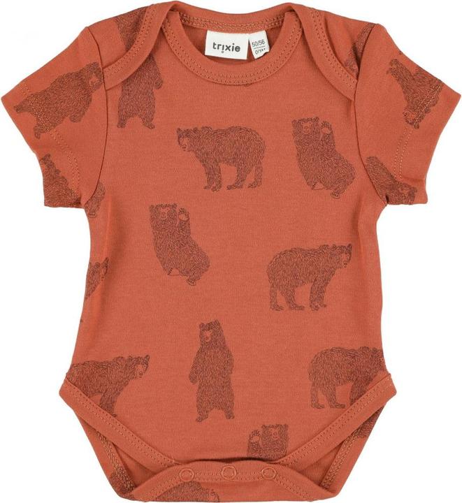 Orso coraggioso
