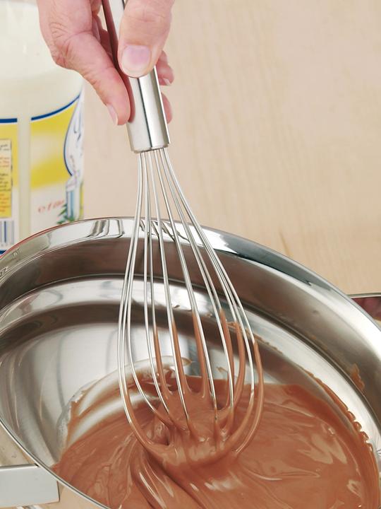 Actual product image WMF Professional Plus