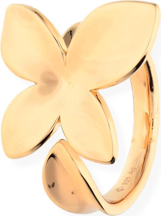 Champagne gold-plated