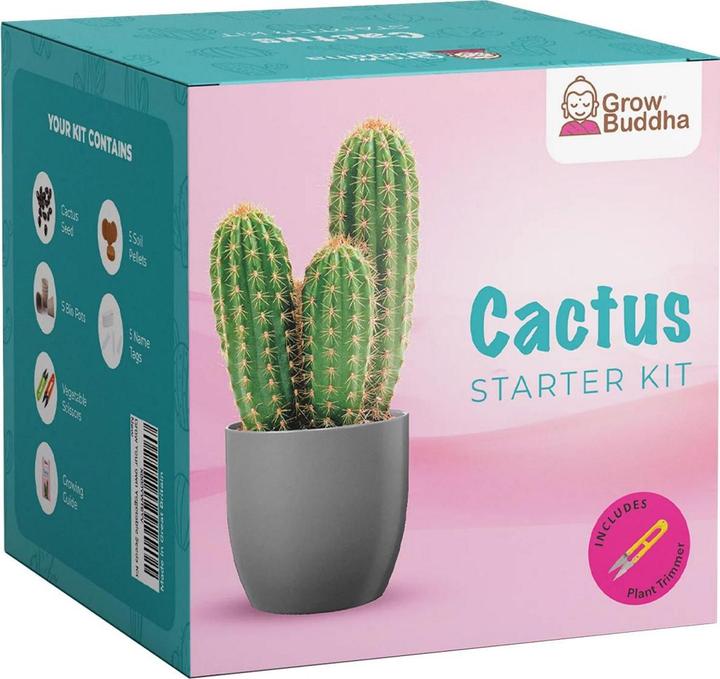 Image du produit Grow Buddha Kit de jardinage – cactus