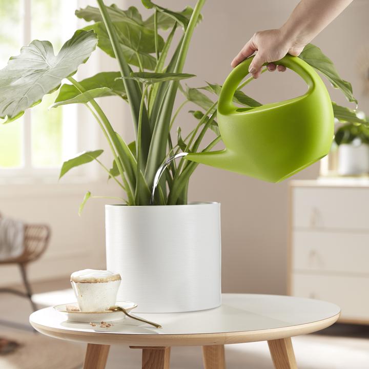 Image du produit Scheurich Panna (19 cm)