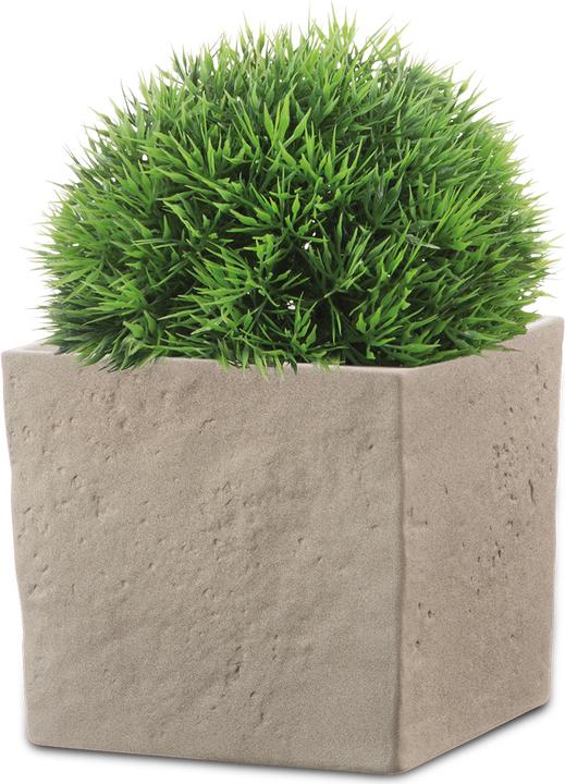 Produktbild Scheurich Blumentopf Taupe Stone 18 x 18 cm (18 cm)