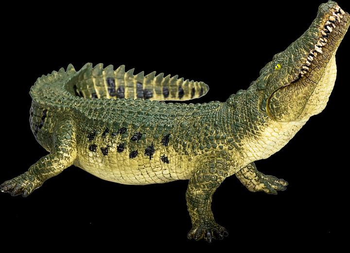 Actual product image Mojo Crocodile with bewgl. jaws