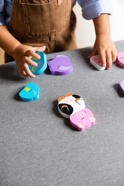 Immagine prodotto Goula Puzzle Animali magnetici (12 pezzi)