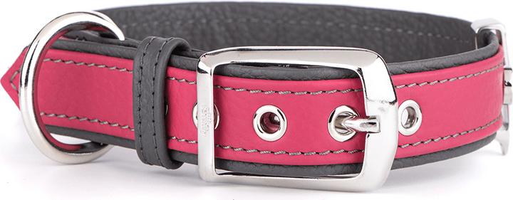 Actual product image Myfamily Firenze Vitello (XL, Dog, General)