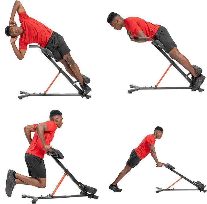 Actual product image Sunny Health & Fitness Back trainer