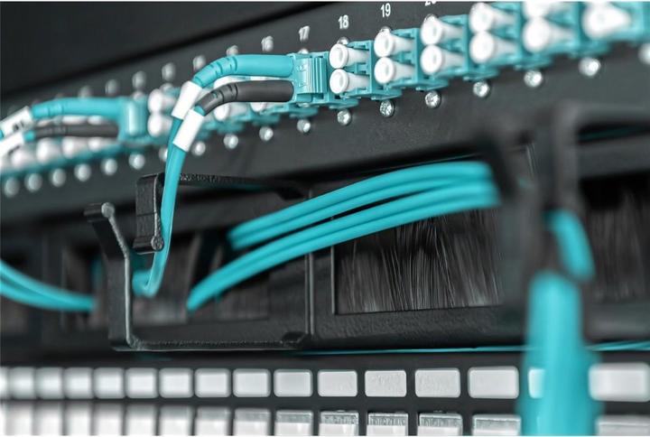 Actual product image Digitus Cable jumper panel for 483mm cabinets