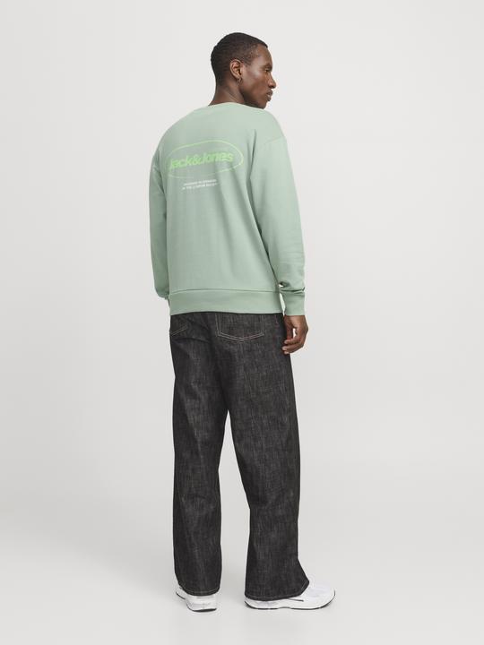 Image du produit Jack & Jones Jjebradley Graphic Sweat Crew Noos (S)