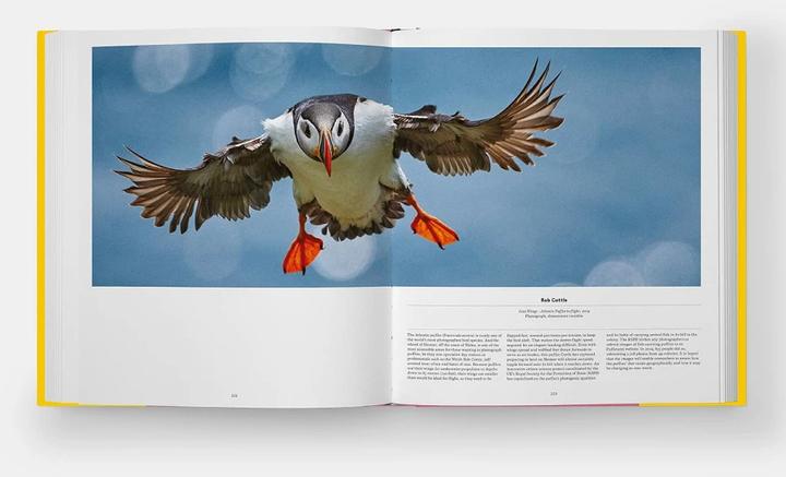 Produktbild Bird (Englisch, Katrina van Grouw, Phaidon Editors, Jen Lobo, 2021)