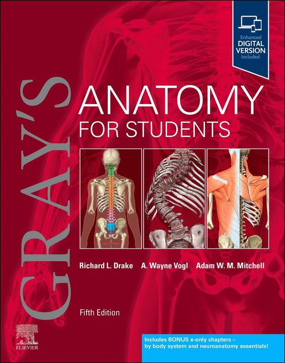 Gray's Anatomy for Students (Englisch, Adam W. M. Mitchell|Richard L. Drake|A. Wayne Vogl, Drake Richard L.|Vogl A. Wayne|Mitchell Adam W. M., 2023)
