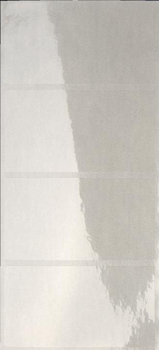 Actual product image Leitz Protective foil label on strips, transparent Dimensions: (W)72 x (H)39 mm, self-adhesive, for sc