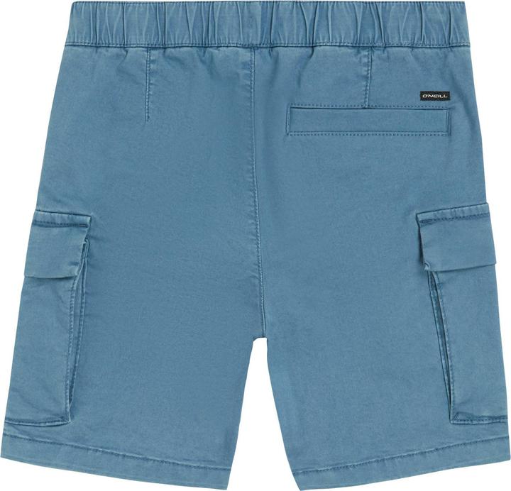 Image du produit O'Neill Cargo Shorts (164)