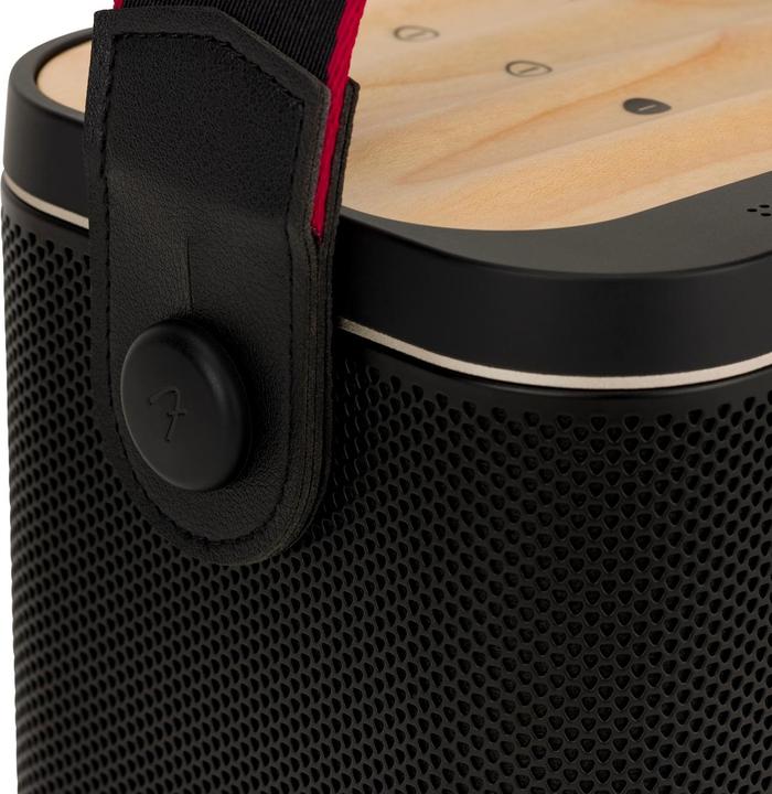 Actual product image Fender RIFF 60W Bluetooth Speaker (30 h, Rechargeable battery operated)