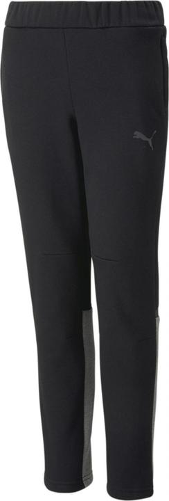 Image du produit Puma teamCUP Casuals Pants Jr (140)