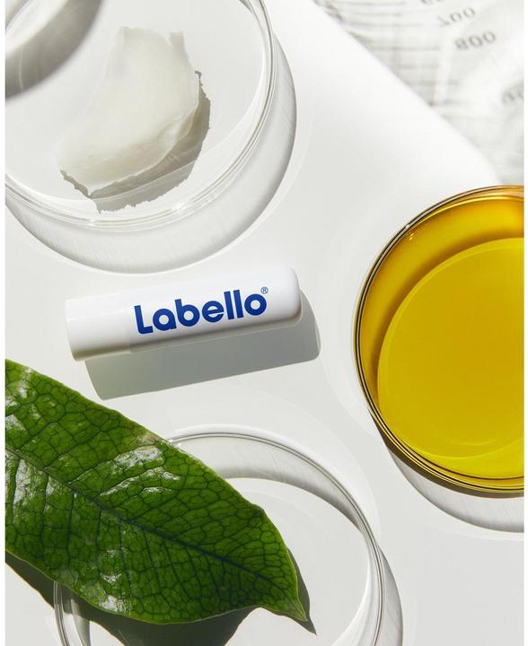 Produktbild Labello Original & Repair - All-Weather Set DUO 2 Stick 4.8 g (Pflegestift)