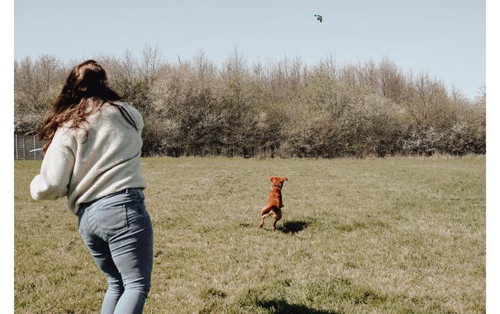 Produktbild Hunter Flingerz Splash (Kauspielzeug Hund, Apportieren)
