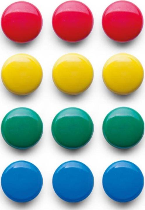 Magnet set (12 x)