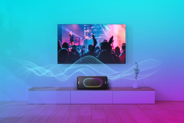 Actual product image Panasonic Speaker SC-TMAX45E-K (Electrical connection)