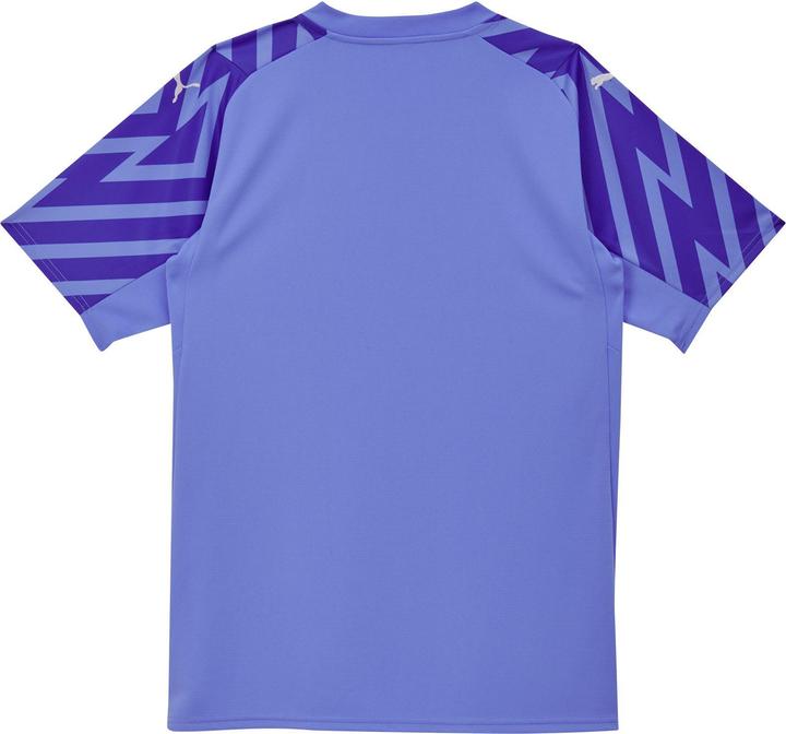 Actual product image Puma SFV GK Jersey SS Replica (XXL)