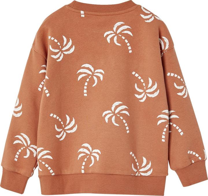 Produktbild Vertbaudet Jungen Sweatshirt mit Frottee-Motiv und Recycling-Polyester (128)