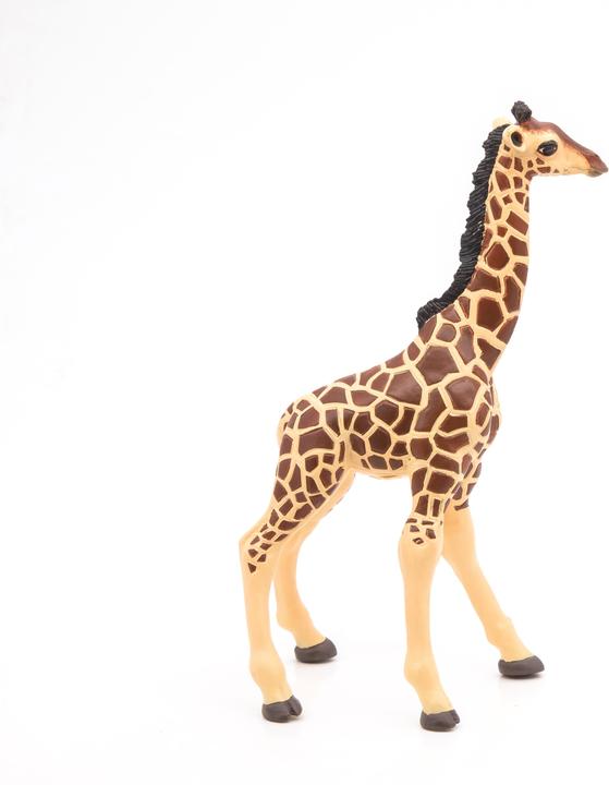 Actual product image Papo Giraffe cub