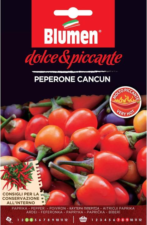 Produktbild Blumen Paprika Cancun (Gemüsesamen)