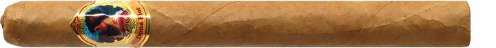Dona Flor Corona doppia del Connecticut (Corona)