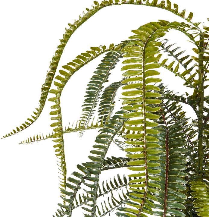 Actual product image Beliani Fern Leaf Plans (105 cm)