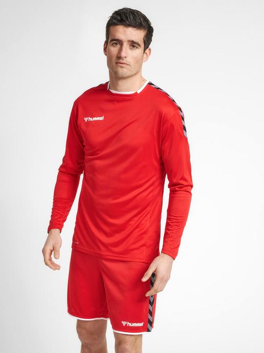 Produktbild hummel Authentic Poly Jersey L/S (S)