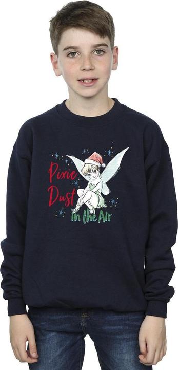 Image du produit Disney - Sweat TINKER BELL PIXIE DUST - Garçon (152, 158)