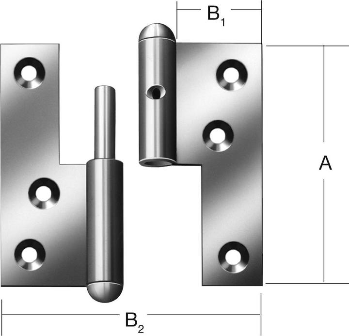 Image du produit Vormann Paumelle de porte acier droite 80x72 mm DIN droite zinguée bleue broche fixe
