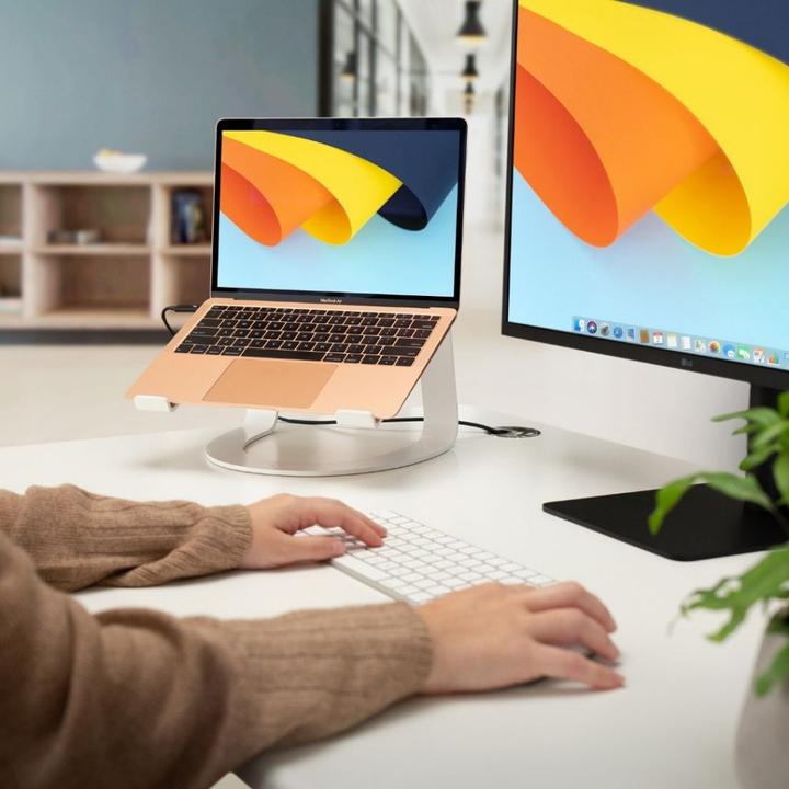 Actual product image TwelveSouth Curve SE