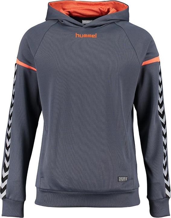 Actual product image hummel Authentic Charge Poly Hoodie (L)
