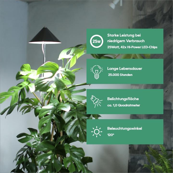 Image du produit Parus by Venso SUNLiTE XL 25 (LED, 230 V)