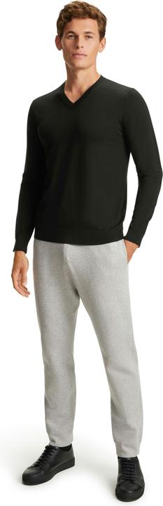 Immagine prodotto Falke BA V-Neck m (L)