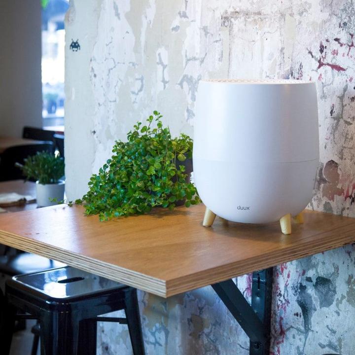 Actual product image Duux Ovi (30 m²)