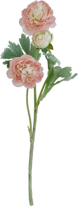 Immagine prodotto Hill Interiors The Natural Garden Collection Ranunculus Fiore Artificiale (50 cm)