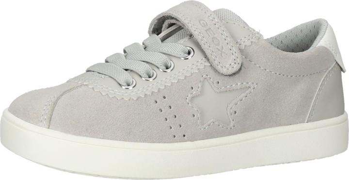 Grau C1010