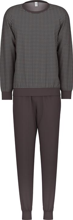 Gris schisteux