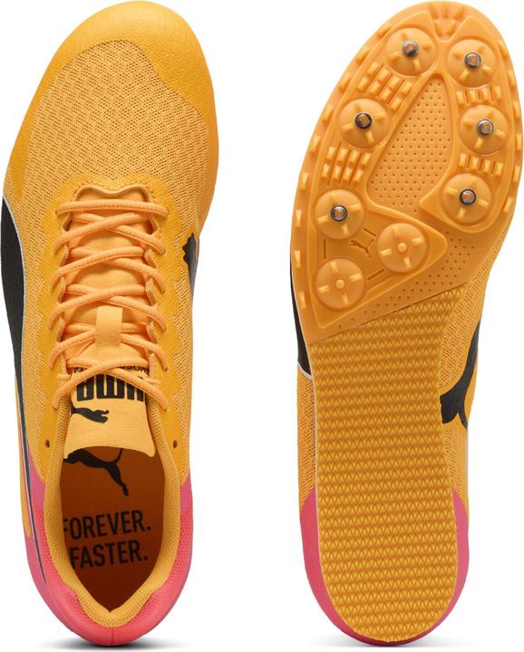 Produktbild Puma evoSPEED Star 9 (40.5)
