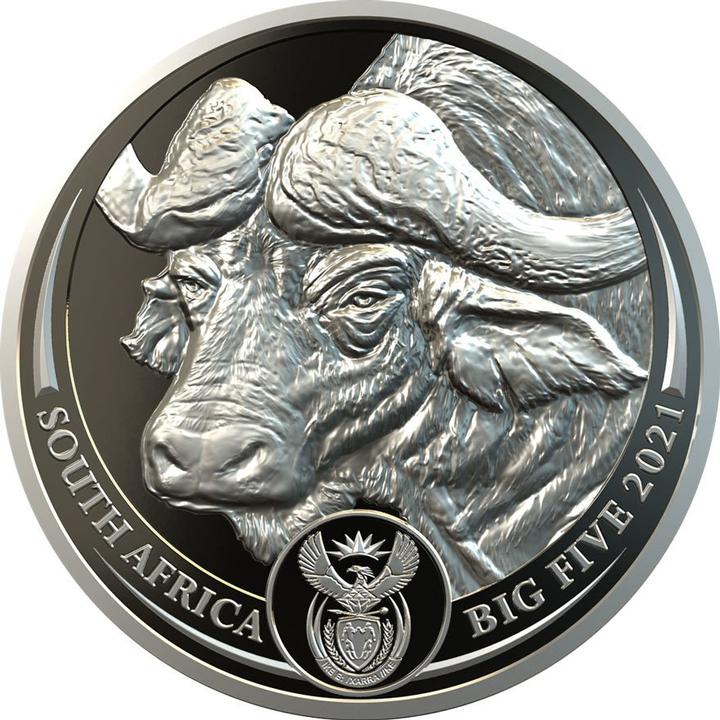 Immagine prodotto South Africa Mint Bufalo di platino da 1 oz PP - Big Five Sudafrica (999.50, 2021)